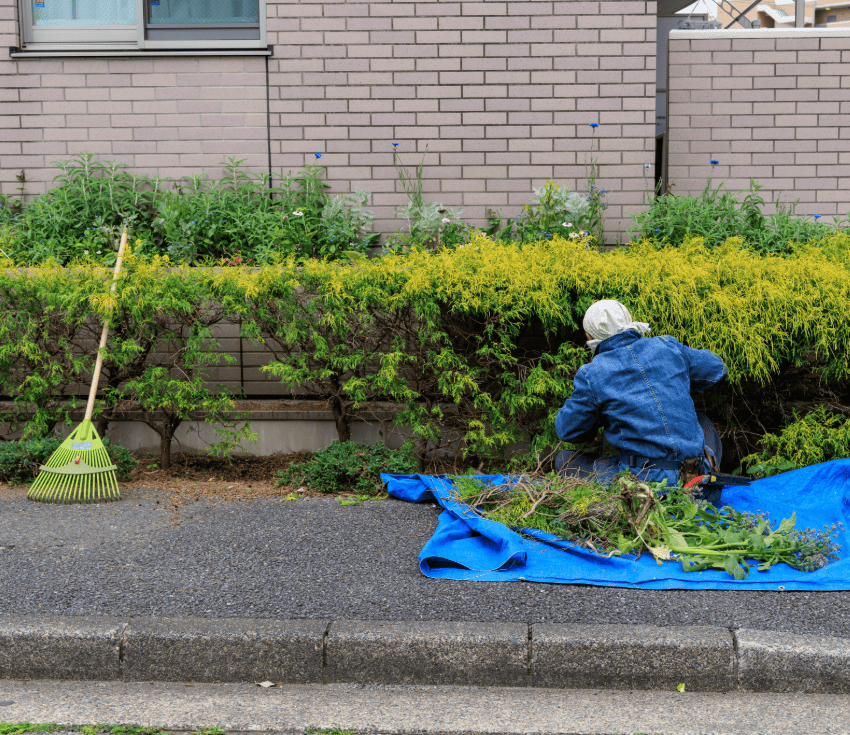お庭のお手入れ・草刈り作業